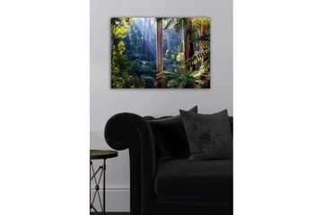 Canvastavla - Tyst skog med höga eukalyptusträd och frodig vegetation - Grön / Brun / Gul - Inredning - Tavlor & posters - Canvastavla