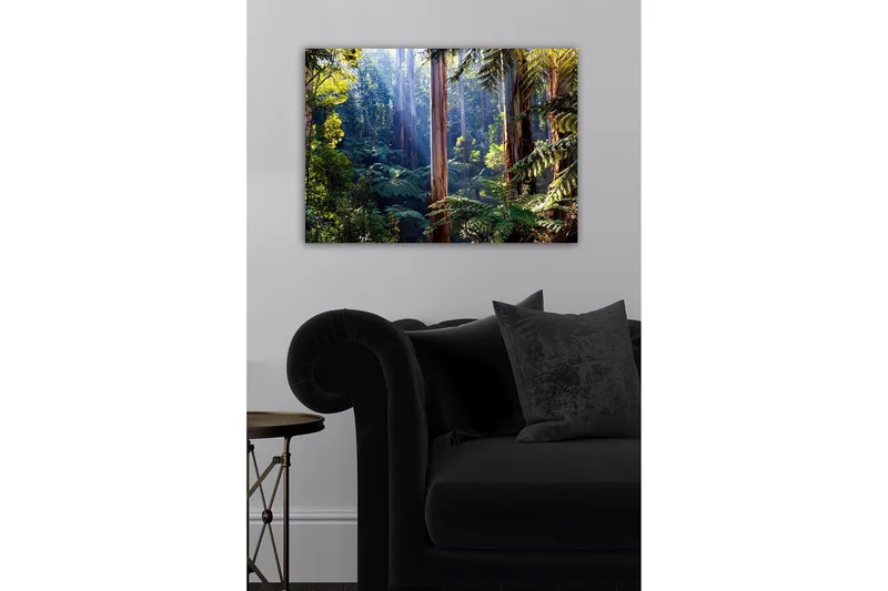 Canvastavla - Tyst skog med höga eukalyptusträd och frodig vegetation - Grön / Brun / Gul - Inredning - Tavlor & posters - Canvastavla