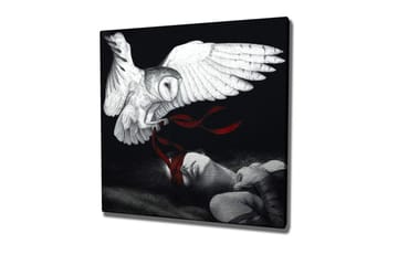 Canvastavla - Uggla som svävar över en sovande person med röda band - Vit / Svart / Röd - Inredning - Tavlor & posters - Canvastavla