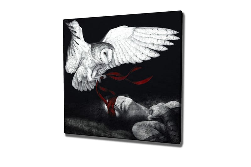 Canvastavla - Uggla som svävar över en sovande person med röda band - Vit / Svart / Röd - Inredning - Tavlor & posters - Canvastavla