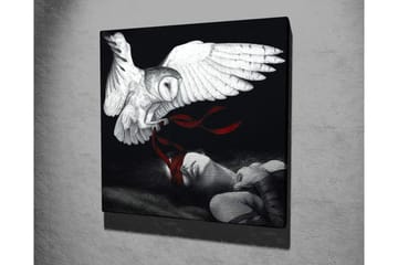 Canvastavla - Uggla som svävar över en sovande person med röda band - Vit / Svart / Röd - Inredning - Tavlor & posters - Canvastavla