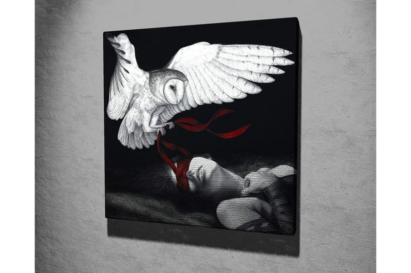 Canvastavla - Uggla som svävar över en sovande person med röda band - Vit / Svart / Röd - Inredning - Tavlor & posters - Canvastavla