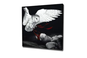 Canvastavla - Uggla som svävar över en sovande person med röda band - Vit / Svart / Röd - Inredning - Tavlor & posters - Canvastavla