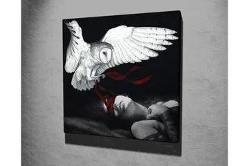 Canvastavla - Uggla som svävar över en sovande person med röda band - Vit / Svart / Röd - Inredning - Tavlor & posters - Canvastavla