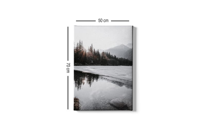 Canvastavla - Vacker vinterlandskap med frusna sjöar och snötäckta berg - Grå / Vit / Mörkgrön - Inredning - Tavlor & posters - Canvastavla