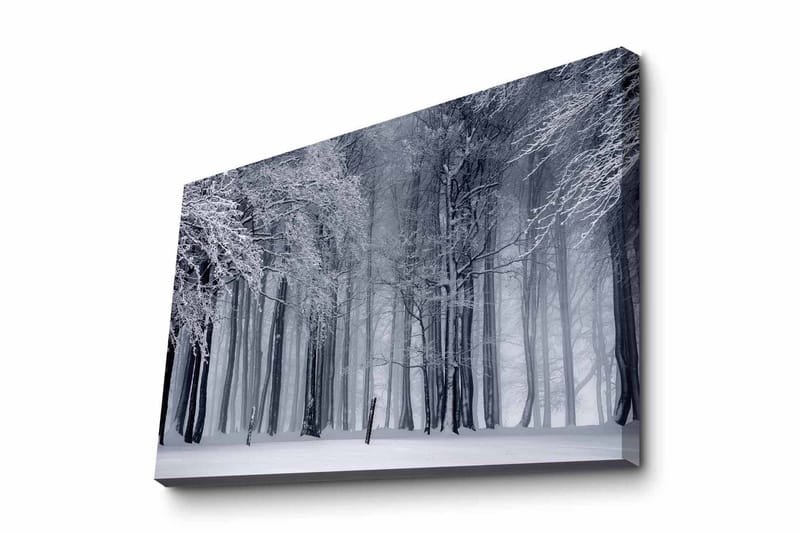 Canvastavla - Vintrig skog med snöklädda träd - Vit / Grå / Svart - Inredning - Tavlor & posters - Canvastavla
