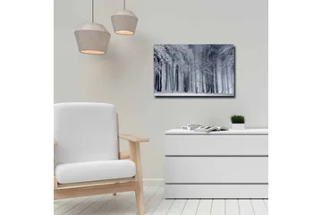 Canvastavla - Vintrig skog med snöklädda träd - Vit / Grå / Svart - Inredning - Tavlor & posters - Canvastavla