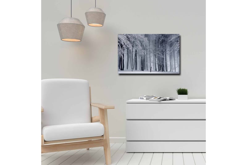 Canvastavla - Vintrig skog med snöklädda träd - Vit / Grå / Svart - Inredning - Tavlor & posters - Canvastavla