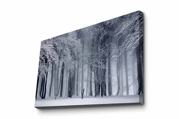 Canvastavla - Vintrig skog med snöklädda träd - Vit / Grå / Svart - Inredning - Tavlor & posters - Canvastavla