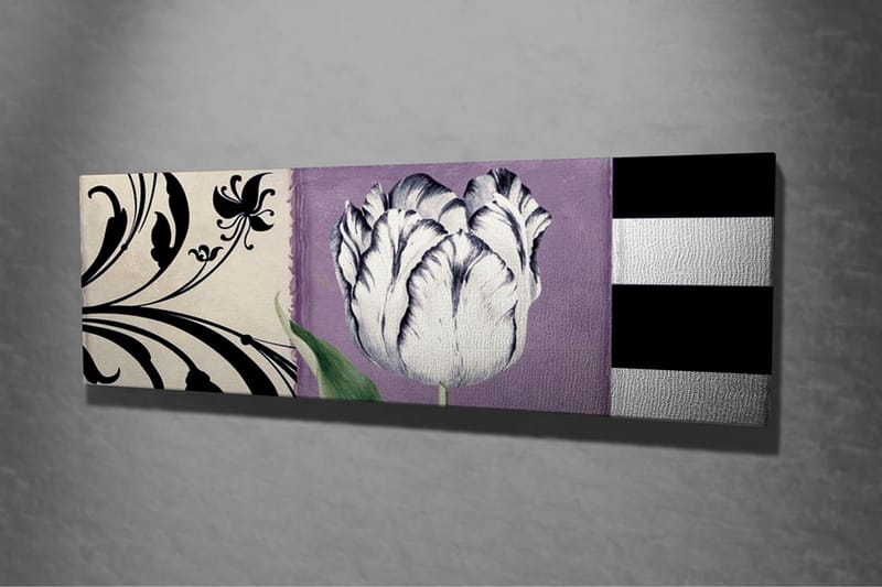 Canvastavla - Vit tulpan mot lila bakgrund - Vit / Lila / Svart - Inredning - Tavlor & posters - Canvastavla