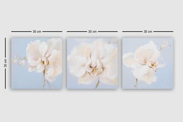 Canvastavla VP Italy 3-pack Flerfärgad - 30x30 cm - Inredning - Tavlor & posters - Canvastavla