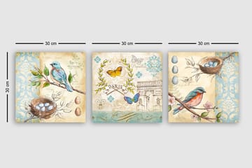 Canvastavla VP Italy 3-pack Flerfärgad - 30x30 cm - Inredning - Tavlor & posters - Canvastavla