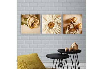 Canvastavla VP Italy 3-pack Flerfärgad - 30x30 cm - Inredning - Tavlor & posters - Canvastavla