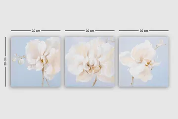 Canvastavla VP Italy 3-pack Flerfärgad - 30x30 cm - Inredning - Tavlor & posters - Canvastavla