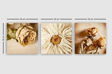 Canvastavla VP Italy 3-pack Flerfärgad - 30x30 cm - Inredning - Tavlor & posters - Canvastavla