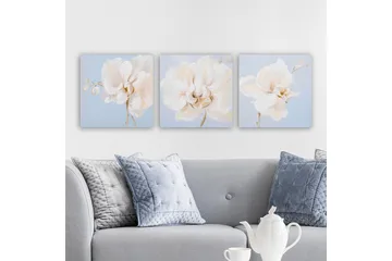 Canvastavla VP Italy 3-pack Flerfärgad - 30x30 cm - Inredning - Tavlor & posters - Canvastavla