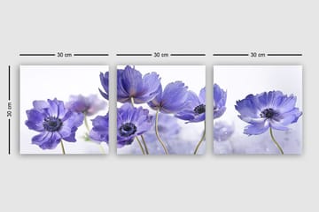 Canvastavla VP Italy 3-pack Flerfärgad - 30x30 cm - Inredning - Tavlor & posters - Canvastavla