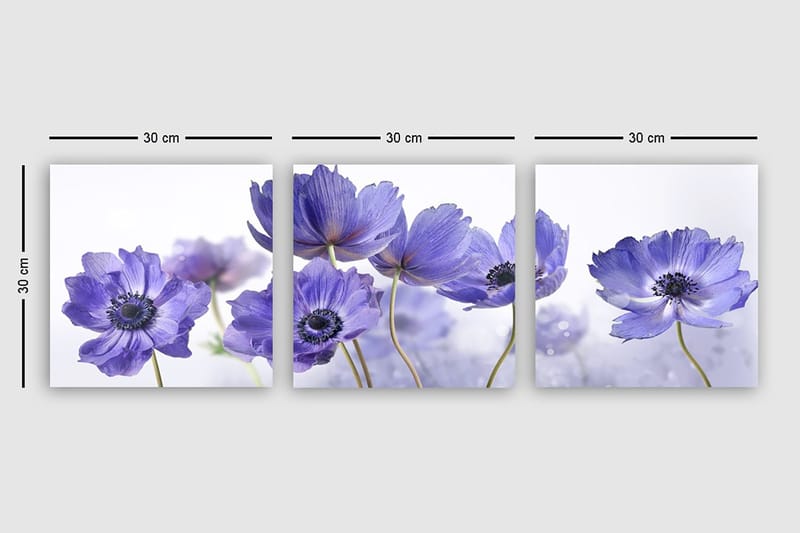 Canvastavla VP Italy 3-pack Flerfärgad - 30x30 cm - Inredning - Tavlor & posters - Canvastavla