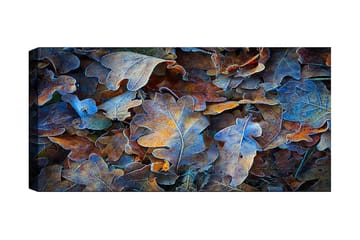 Canvastavla YTY Abstract & Fractals Flerfärgad - 120x50 cm - Inredning - Tavlor & posters - Canvastavla