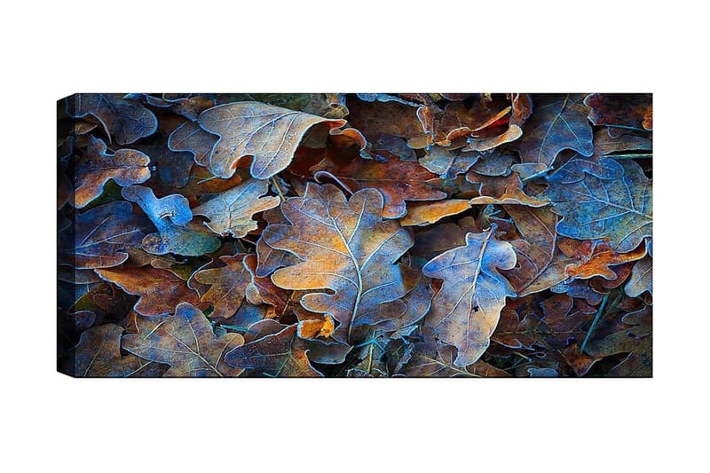 Canvastavla YTY Abstract & Fractals Flerfärgad, 120x50 cm