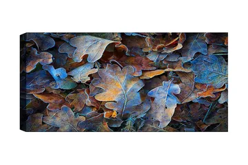 Canvastavla YTY Abstract & Fractals Flerfärgad - 120x50 cm - Inredning - Tavlor & posters - Canvastavla