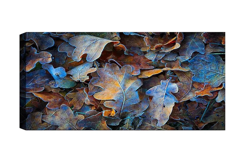 Canvastavla YTY Abstract & Fractals Flerfärgad - 120x50 cm - Inredning - Tavlor & posters - Canvastavla