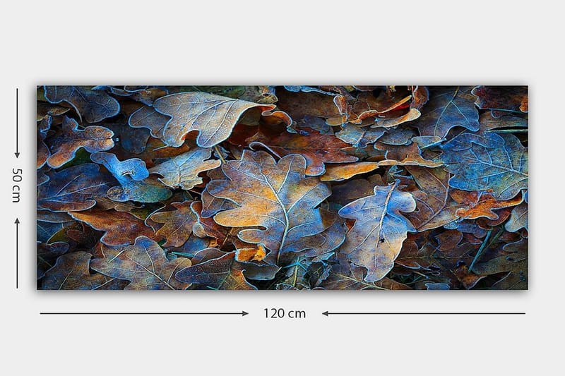 Canvastavla YTY Abstract & Fractals Flerfärgad - 120x50 cm - Inredning - Tavlor & posters - Canvastavla