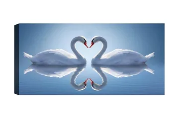 Canvastavla YTY Abstract & Fractals Flerfärgad - 120x50 cm - Inredning - Tavlor & posters - Canvastavla