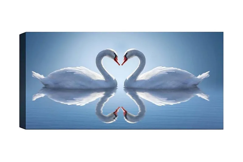 Canvastavla YTY Abstract & Fractals Flerfärgad, 120x50 cm