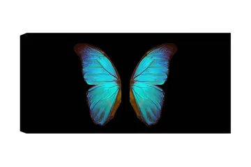 Canvastavla YTY Animals Flerfärgad - 120x50 cm - Inredning - Tavlor & posters - Canvastavla