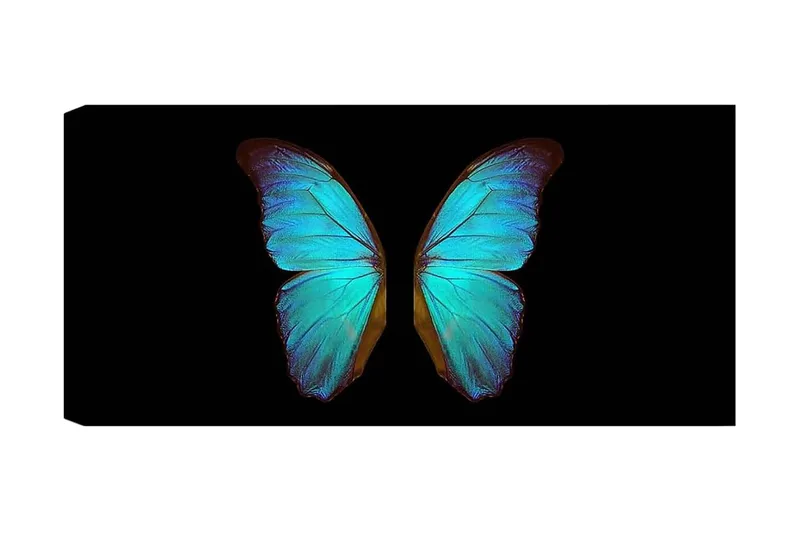 Canvastavla YTY Animals Flerfärgad, 120x50 cm