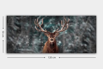 Canvastavla YTY Animals Flerfärgad - 120x50 cm - Inredning - Tavlor & posters - Canvastavla