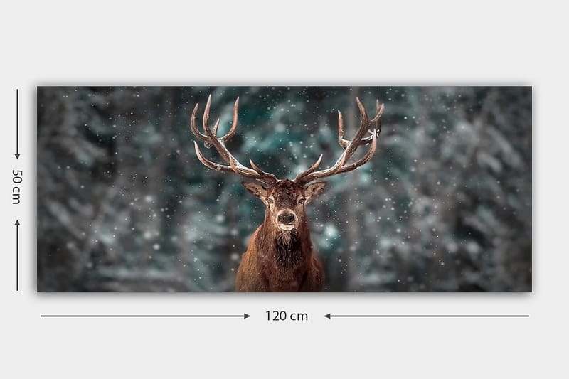 Canvastavla YTY Animals Flerfärgad - 120x50 cm - Inredning - Tavlor & posters - Canvastavla