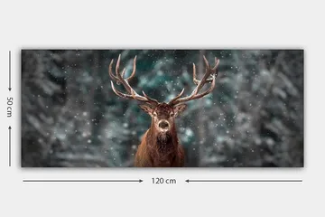 Canvastavla YTY Animals Flerfärgad - 120x50 cm - Inredning - Tavlor & posters - Canvastavla