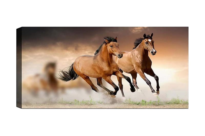 Canvastavla YTY Animals Flerfärgad - 120x50 cm - Inredning - Tavlor & posters - Canvastavla