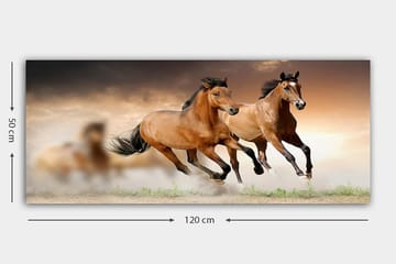 Canvastavla YTY Animals Flerfärgad - 120x50 cm - Inredning - Tavlor & posters - Canvastavla