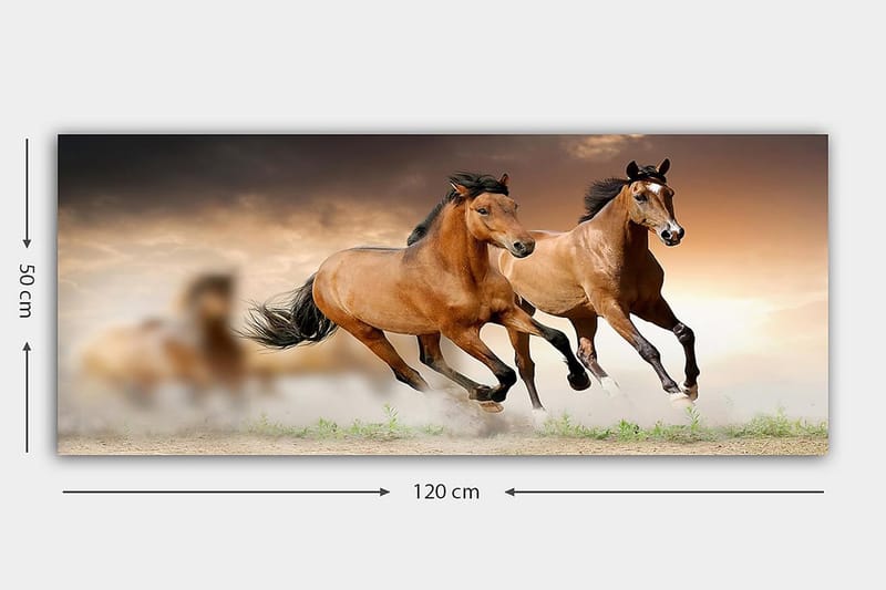 Canvastavla YTY Animals Flerfärgad - 120x50 cm - Inredning - Tavlor & posters - Canvastavla
