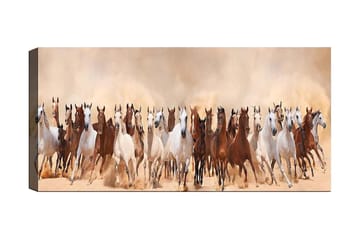 Canvastavla YTY Animals Flerfärgad - 120x50 cm - Inredning - Tavlor & posters - Canvastavla