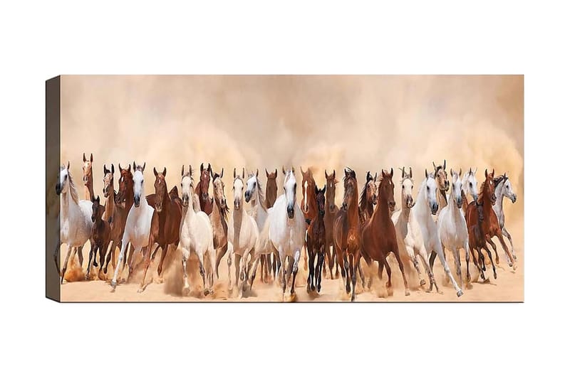 Canvastavla YTY Animals Flerfärgad - 120x50 cm - Inredning - Tavlor & posters - Canvastavla