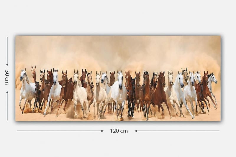 Canvastavla YTY Animals Flerfärgad - 120x50 cm - Inredning - Tavlor & posters - Canvastavla
