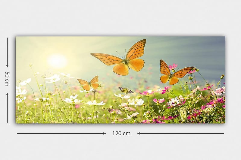 Canvastavla YTY Animals Flerfärgad - 120x50 cm - Inredning - Tavlor & posters - Canvastavla