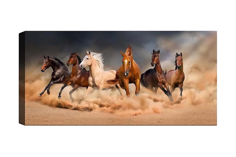Canvastavla YTY Animals Flerfärgad - 120x50 cm - Inredning - Tavlor & posters - Canvastavla