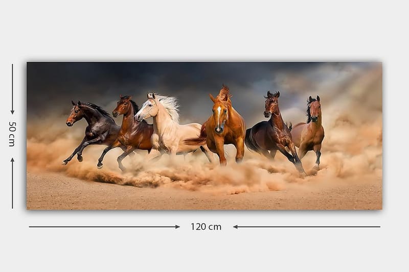 Canvastavla YTY Animals Flerfärgad - 120x50 cm - Inredning - Tavlor & posters - Canvastavla