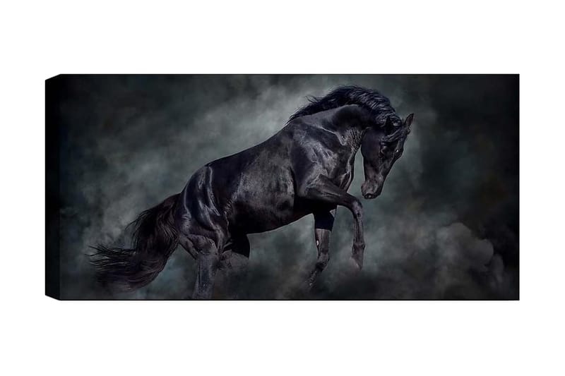 Canvastavla YTY Animals Flerfärgad - 120x50 cm - Inredning - Tavlor & posters - Canvastavla