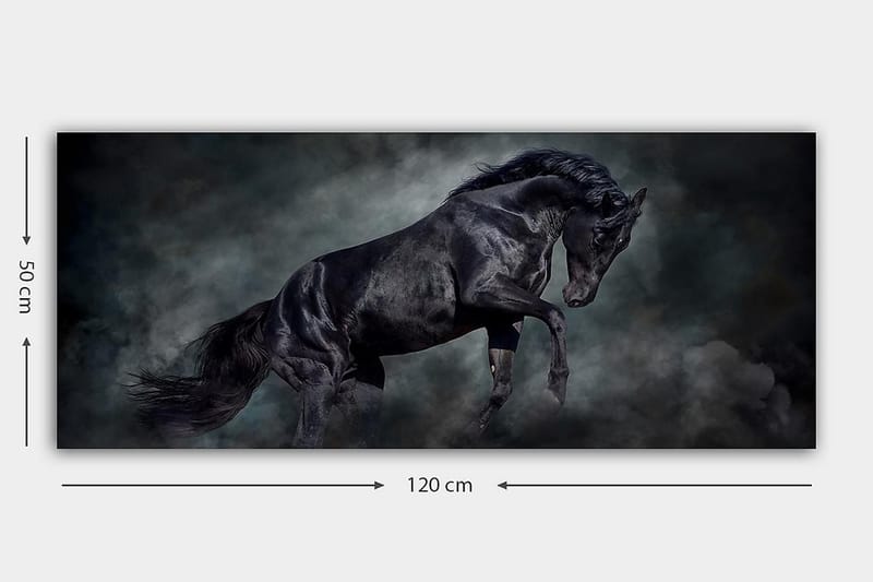 Canvastavla YTY Animals Flerfärgad - 120x50 cm - Inredning - Tavlor & posters - Canvastavla
