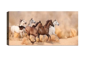 Canvastavla YTY Animals Flerfärgad - 120x50 cm - Inredning - Tavlor & posters - Canvastavla