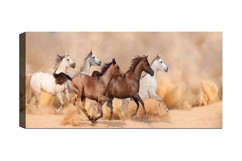 Canvastavla YTY Animals Flerfärgad - 120x50 cm - Inredning - Tavlor & posters - Canvastavla