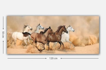 Canvastavla YTY Animals Flerfärgad - 120x50 cm - Inredning - Tavlor & posters - Canvastavla