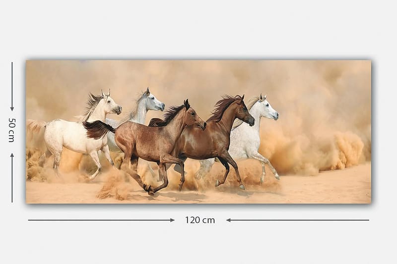 Canvastavla YTY Animals Flerfärgad - 120x50 cm - Inredning - Tavlor & posters - Canvastavla