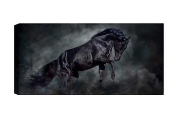 Canvastavla YTY Animals Flerfärgad - 120x50 cm - Inredning - Tavlor & posters - Canvastavla